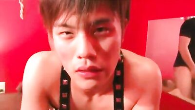 Big Asian Cocks Muscle Worship Sex