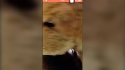 Asian Fineboy with Giant Cock: A Rising Star in Gay Porn!