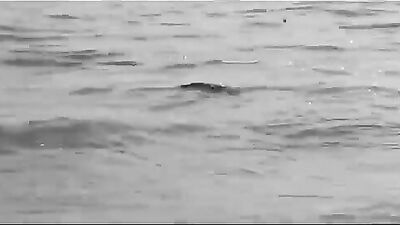 Gay Porn: Teaser Film Tarotakes Off in New Short-film Masterpiece!