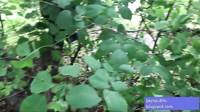 Gay Stadium Orgy: Teens Jerk and Suck in Public!