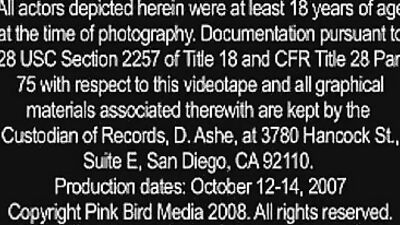 The Ultimate Gay Porn Experience - Bareback Big Cocks Blond Boys!