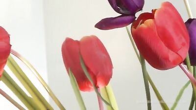 Bareback Facial Frat Boys: Action Amateur Ass Play Fetish