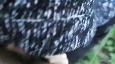 Gay Teen Blowjob Adventure Outside - Friends and Fun