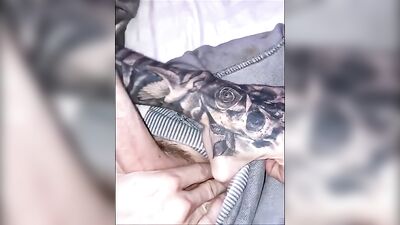 Web-Cam Amature Cum Shots - Aaron Carters Explosive Orgasm!