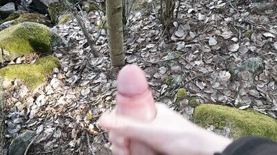 Forest Fucks - Gay Teen Porn Adventures in the Woods