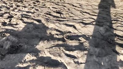 Gay Teen Boys Porn: One Evening at the Beach - A Night of Sand, Sun and Sex!