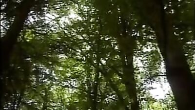 Gay Porn Jungle Jism: Wild Sex Adventures