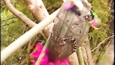 Amazonian Adventure: Whacky Latino Gay Porn!