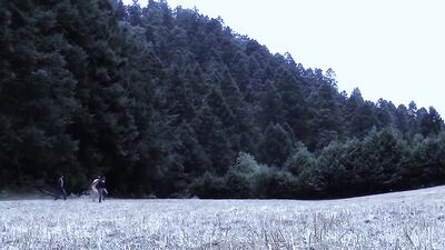 Naked in Movies: Ki*dnapped by the Hunky Villain