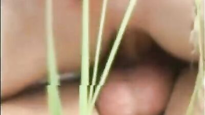 Wild Butt Boys Pure Gay Porn Action - Big Cocks