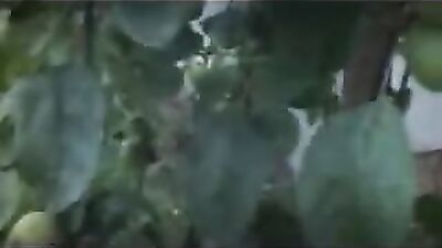 Jaden Idols Big Cock Bareback Fuck Fest!