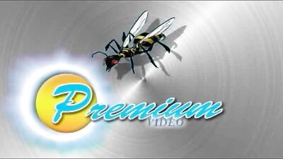 Spanking Fetish Daddy Porn: Action-Packed Boys Fun!