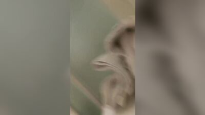 Gay Teen Mirror Porn: Wank and Cum with Passion!