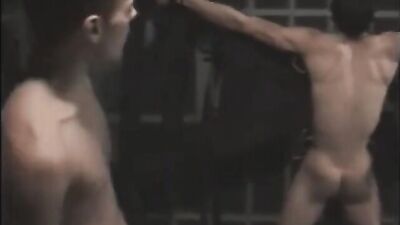 Gay Porn Video: Fascinating Horseshoe Action with Muscular Boys!