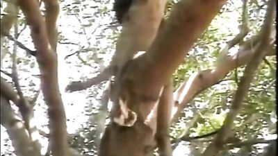 Asian Cuties Fall from Grace: Cum-Splosive Cocksucking and Anal Action!