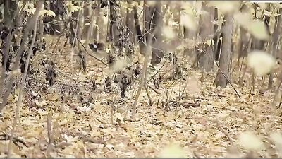 Give Me Your Cock Please Gay Porn: Ultimate Bareback Fetish Orgy!