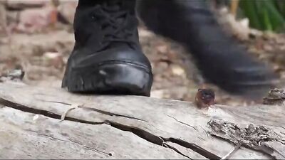 Young Latin Cadets Cock Sucking Orgy