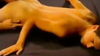 Young Brothers Ass Fucked By Jock In Hot Gay Porn Videos!