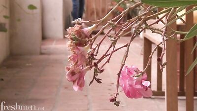 Young Ninos Wild Ride with Huge Cock - Gay Twink Porn Tube!