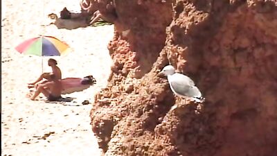 Gay Porn Video - Blowjobs At The Beach Cum Shots Oral =================================================== Lukas and his friend duck away from the group for a little blowjob action...