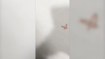 Gay Cam Boys Porn - Web-Cam Sex Delights!