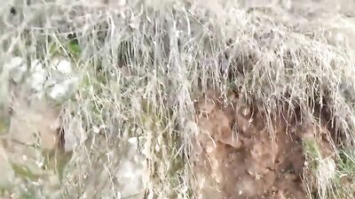 Outdoor Amateur Jerk-Off: Big-Dicked Twinks Public Fetish!