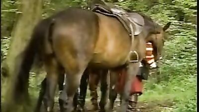 When Knights Meet in Bed: Gay Porn Videos with Vintage Action and Bareback Scenes