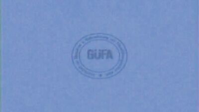 Young Hung Boys: The Ultimate Vintage Oral Gay Porn Experience