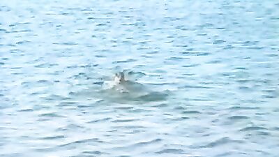 Bjorns Double Cum Adventure - Vintage Web-Cam Boy Jerks off Twice!