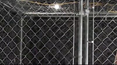 Cage Fucking Bareback Oral Delights!