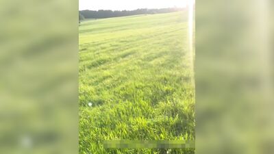 Gay Porn Couple Compilation: Amateur Sexy Sextravaganza