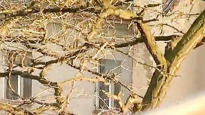 Pissed and Screaming Twinks - Ultimate Gay Porn Videos!