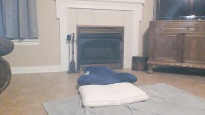 Gay College Twink Porn Plays with his Ass and Toy!