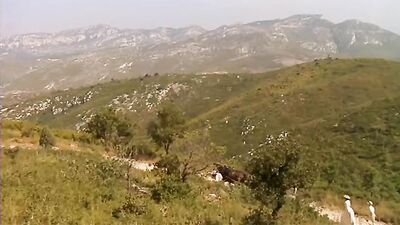The Provence Secret - A Twink Tube Film