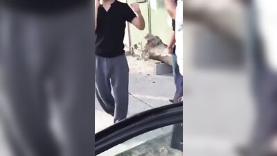 Pantsed by Friends: Public Exposed Boys Porn