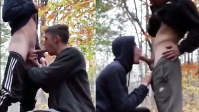 Brit Scally Lads Chavs: Action-Packed Gay Porn with Big Cocks and Hot Cum Shots!