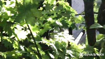 Straight Boys in Public Gay Boys Porn: Hardcore Homosexual Action!