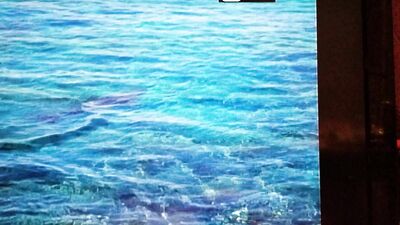 Vintage Bliss: Sandy and Buds Gay Romance