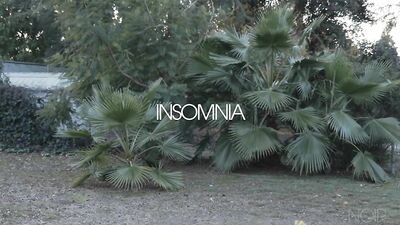 Black Stallion Rides White Pony in HD Gay Porn