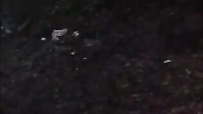 Japanese Ass Worship: Big Cocks Delight