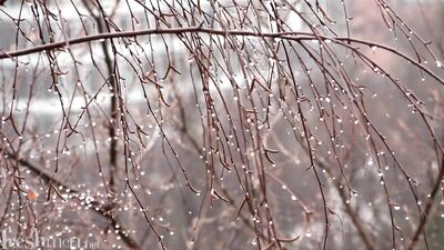 Gay Twink Fucking: Nate Donaghy and Bart Cuban in Hot Action