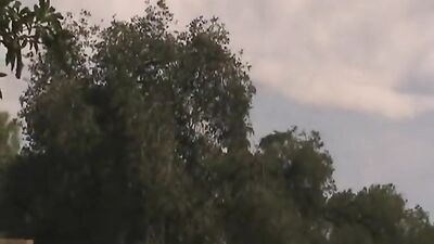 Gay Porn Dicks of Hazzard: Big Cocks Bareback Ass Play