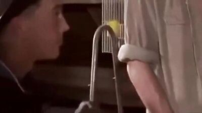 Gay Porn Videos: Team Boned Bareback Kinky Eighteen Year Twink