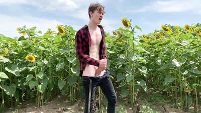 Garden of Eden: Sunflowers outdoors boys porn! A perfect blend of natures beauty and gay passion!