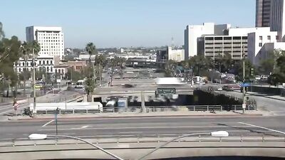 Cum Job Hunt - Hardcore Handjobs and Oral Delights!