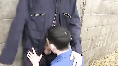 Going Down on the Farm: Young Aaron Auroras Cum Shots Oral Gay Porn Videos