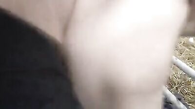 Going Down on the Farm: Young Aaron Auroras Cum Shots Oral Gay Porn Videos