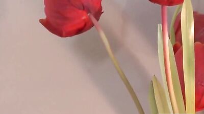 Gay Couch Buddies Couple Porn - Exploring Ultimate Pleasures!