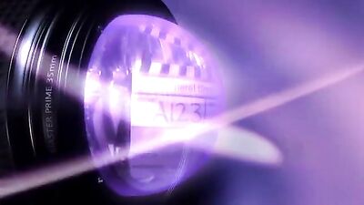 Gay Porn - The Son of Senator Kray