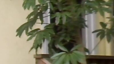 Gay Porn Heaven - Dahopoki XXX Action with Hot Men!